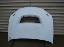 Hood from fiberglass 